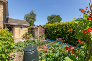 Photo 5- click for photo gallery